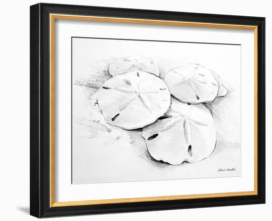 Sand Dollar I-Lanie Loreth-Framed Art Print