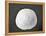 Sand Dollar II-Jairo Rodriguez-Framed Premier Image Canvas