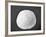 Sand Dollar II-Jairo Rodriguez-Framed Photographic Print