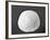 Sand Dollar II-Jairo Rodriguez-Framed Photographic Print