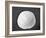 Sand Dollar II-Jairo Rodriguez-Framed Photographic Print