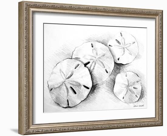 Sand Dollar II-Lanie Loreth-Framed Art Print