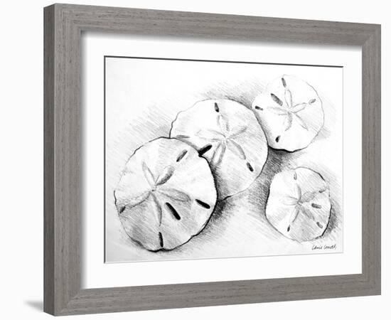 Sand Dollar II-Lanie Loreth-Framed Art Print