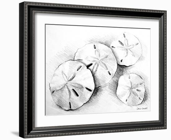 Sand Dollar II-Lanie Loreth-Framed Art Print