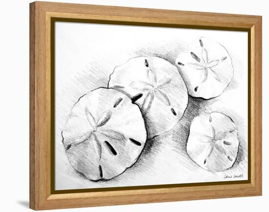 Sand Dollar II-Lanie Loreth-Framed Stretched Canvas