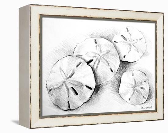 Sand Dollar II-Lanie Loreth-Framed Stretched Canvas