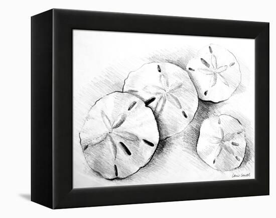 Sand Dollar II-Lanie Loreth-Framed Stretched Canvas