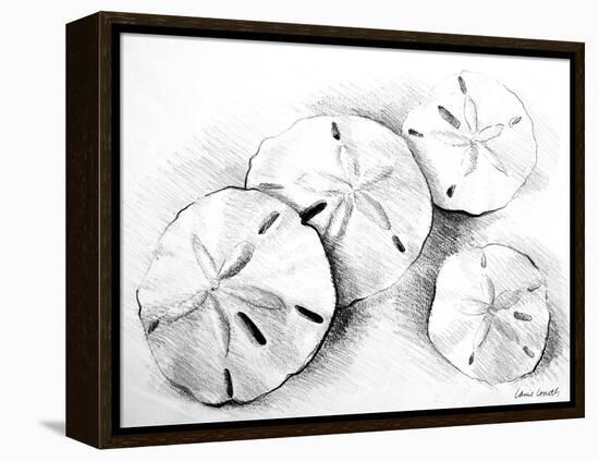 Sand Dollar II-Lanie Loreth-Framed Stretched Canvas