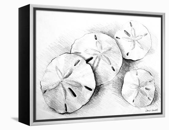 Sand Dollar II-Lanie Loreth-Framed Stretched Canvas