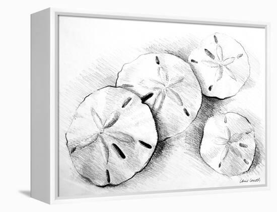 Sand Dollar II-Lanie Loreth-Framed Stretched Canvas