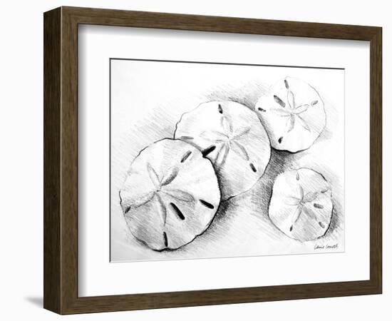 Sand Dollar II-Lanie Loreth-Framed Art Print