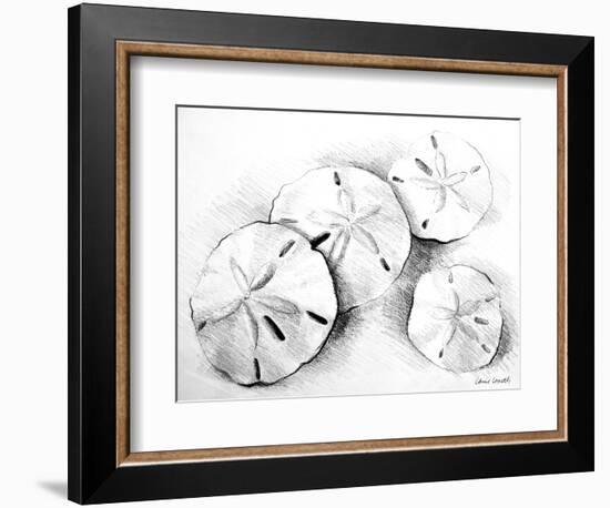 Sand Dollar II-Lanie Loreth-Framed Art Print