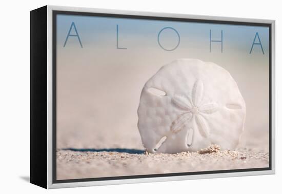 Sand Dollar on Beach - Aloha-Lantern Press-Framed Stretched Canvas