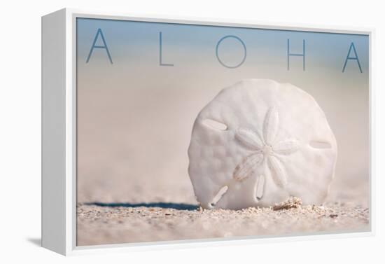 Sand Dollar on Beach - Aloha-Lantern Press-Framed Stretched Canvas