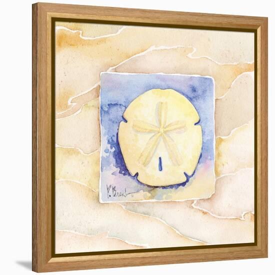 Sand dollar-Paul Brent-Framed Stretched Canvas