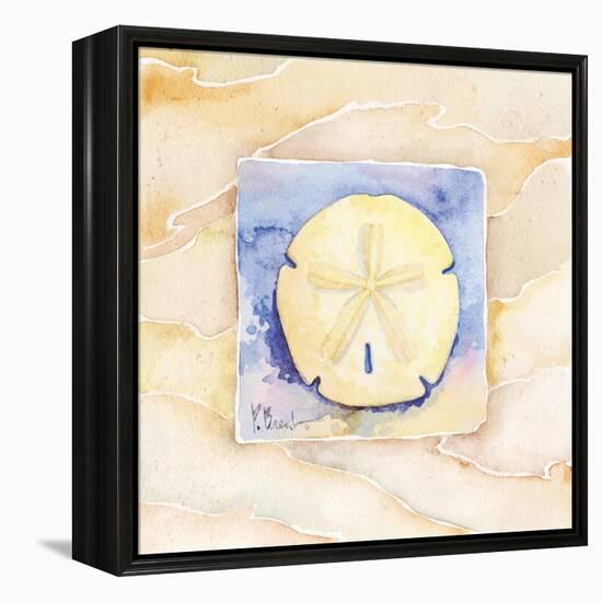 Sand dollar-Paul Brent-Framed Stretched Canvas