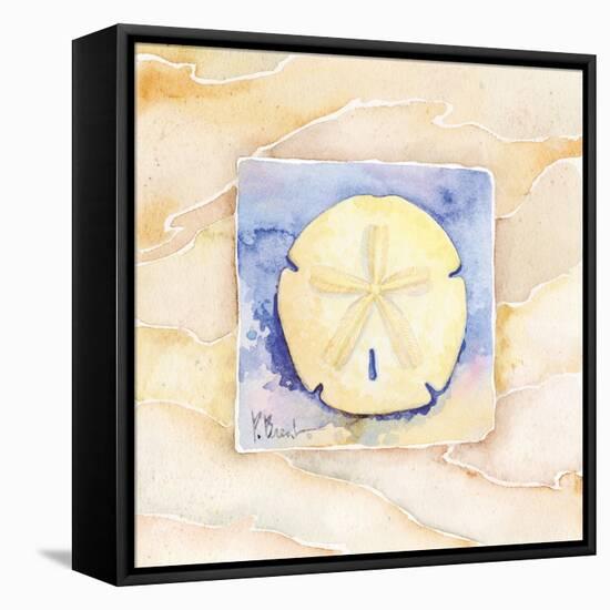 Sand dollar-Paul Brent-Framed Stretched Canvas