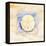 Sand dollar-Paul Brent-Framed Stretched Canvas