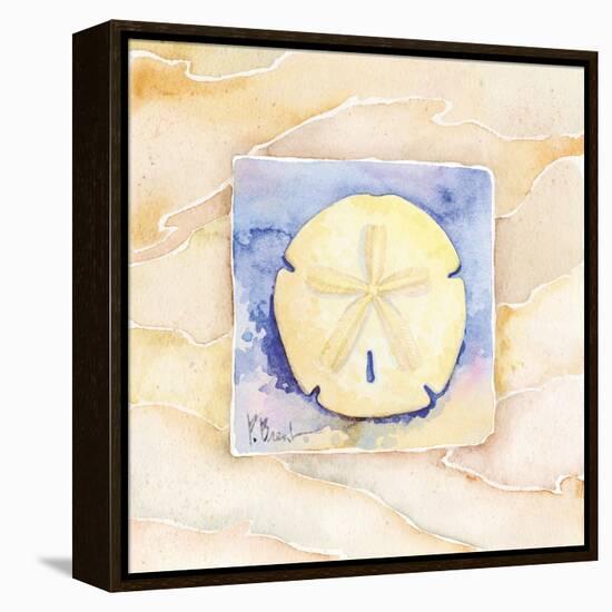 Sand dollar-Paul Brent-Framed Stretched Canvas