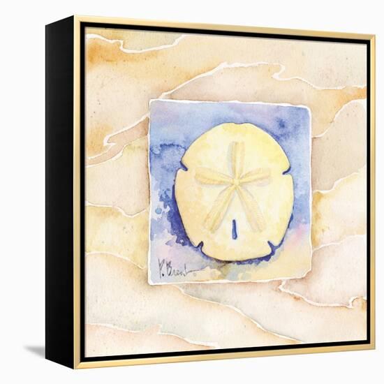 Sand dollar-Paul Brent-Framed Stretched Canvas