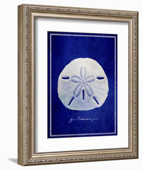 Sand Dollar-GI ArtLab-Framed Giclee Print