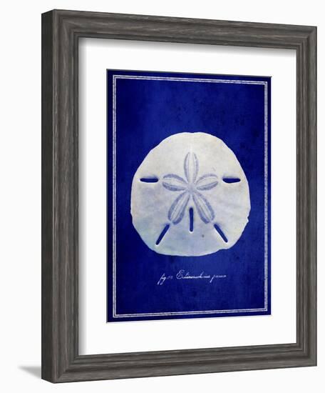 Sand Dollar-GI ArtLab-Framed Giclee Print