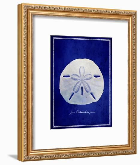 Sand Dollar-GI ArtLab-Framed Giclee Print