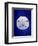 Sand Dollar-GI ArtLab-Framed Giclee Print