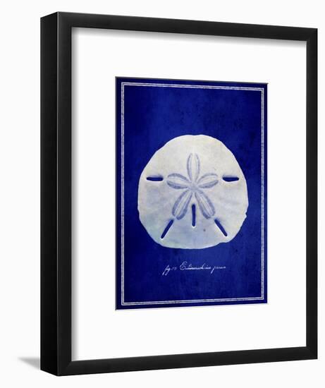 Sand Dollar-GI ArtLab-Framed Giclee Print