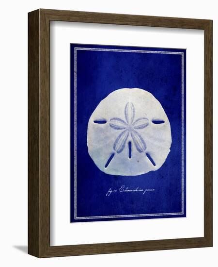 Sand Dollar-GI ArtLab-Framed Giclee Print