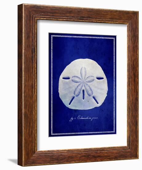 Sand Dollar-GI ArtLab-Framed Giclee Print