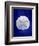 Sand Dollar-GI ArtLab-Framed Giclee Print