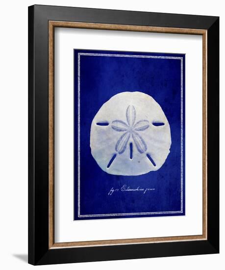 Sand Dollar-GI ArtLab-Framed Giclee Print