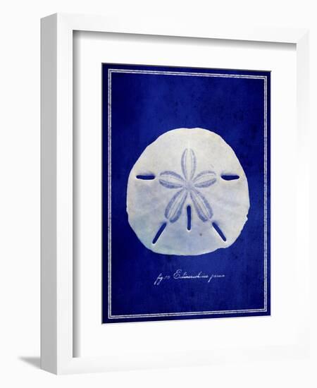 Sand Dollar-GI ArtLab-Framed Giclee Print