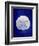 Sand Dollar-GI ArtLab-Framed Giclee Print