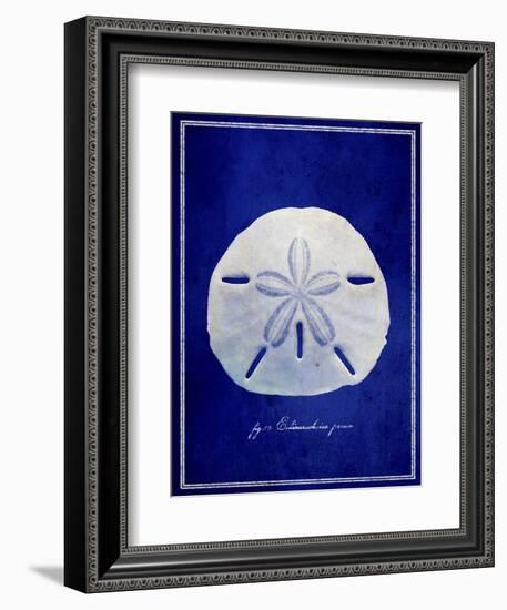 Sand Dollar-GI ArtLab-Framed Giclee Print