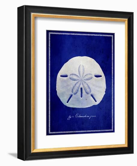 Sand Dollar-GI ArtLab-Framed Giclee Print