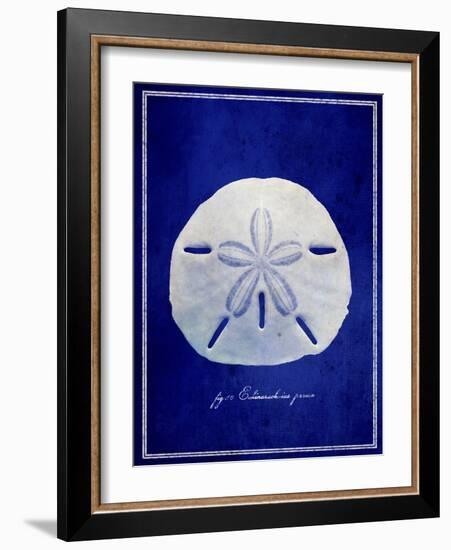 Sand Dollar-GI ArtLab-Framed Giclee Print