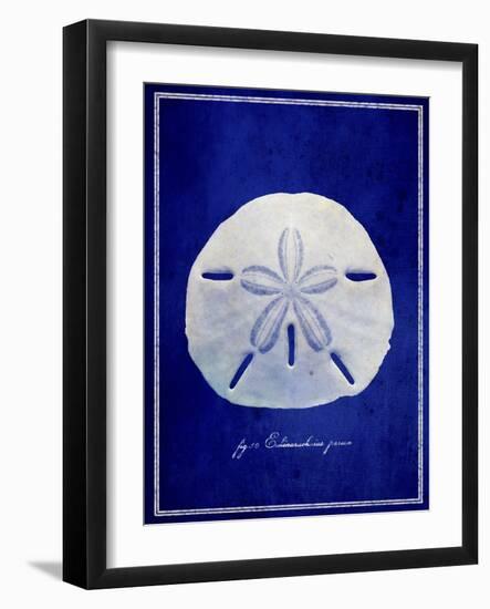 Sand Dollar-GI ArtLab-Framed Giclee Print