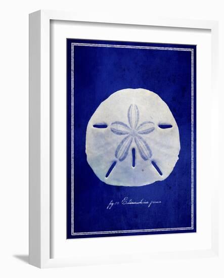 Sand Dollar-GI ArtLab-Framed Giclee Print