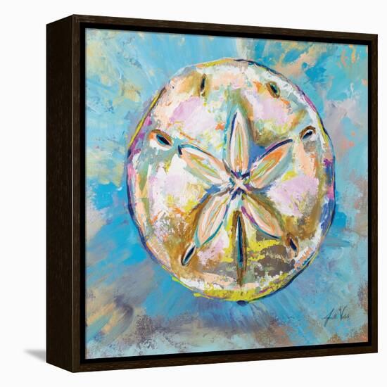 Sand Dollar-Jeanette Vertentes-Framed Stretched Canvas