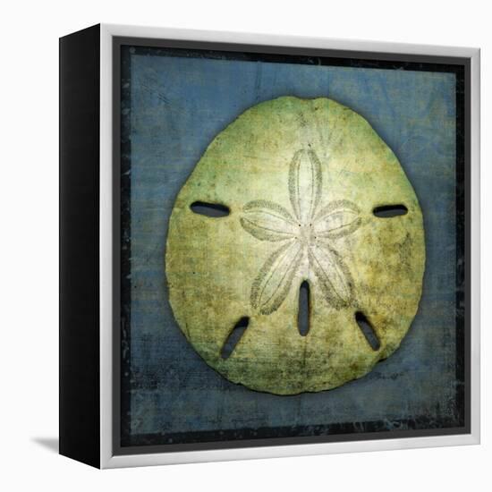 Sand Dollar-John W Golden-Framed Premier Image Canvas