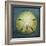 Sand Dollar-John W Golden-Framed Giclee Print