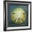 Sand Dollar-John W Golden-Framed Giclee Print