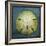 Sand Dollar-John W Golden-Framed Giclee Print