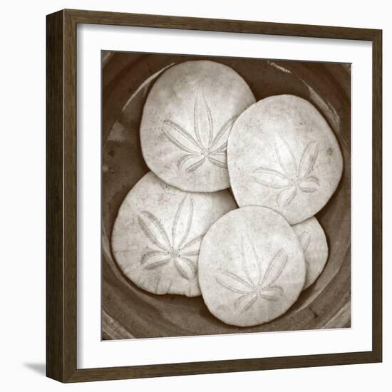 Sand Dollars - Duotone-Katano Nicole-Framed Photo