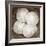 Sand Dollars - Duotone-Katano Nicole-Framed Photo