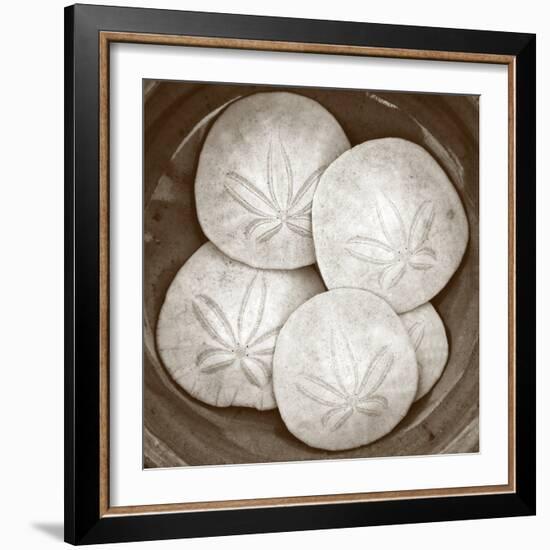 Sand Dollars - Duotone-Katano Nicole-Framed Photo