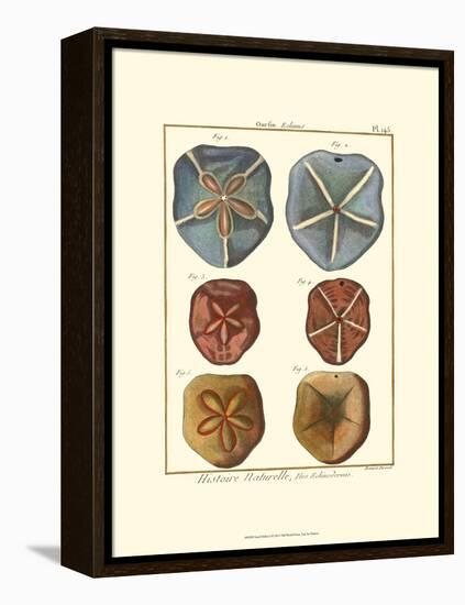 Sand Dollars I-Diderot-Framed Stretched Canvas