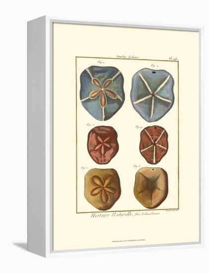 Sand Dollars I-Diderot-Framed Stretched Canvas